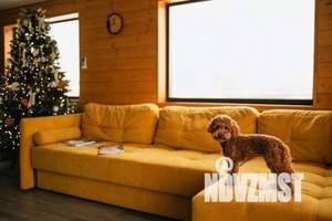 Дом 112м², 1-этажный, посуточно,