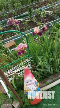 Дом 25м², 1-этажный, участок 6 сот.