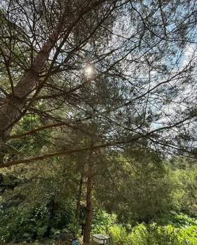 Дом 110м², 2-этажный, участок 6 сот.