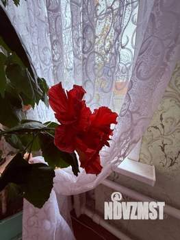 Дом 49м², 1-этажный, участок 5 сот.