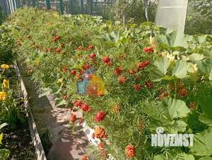 Дом 32м², 2-этажный, участок 6 сот.