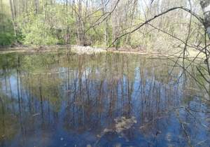 Дача 10м², 2-этажный, участок 10 сот.