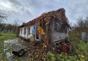 Дом 47м², 1-этажный, участок 29 сот.