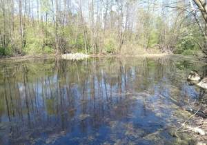 Дача 10м², 2-этажный, участок 10 сот.