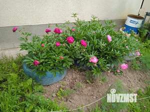 Дом 162м², 2-этажный, участок 15 сот.