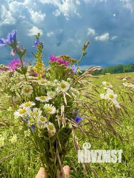 Дача 38м², 2-этажный, участок 10 сот.