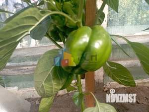 Дом 32м², 2-этажный, участок 6 сот.