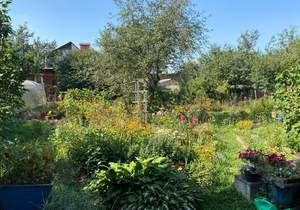 Дом 71м², 1-этажный, участок 8 сот.