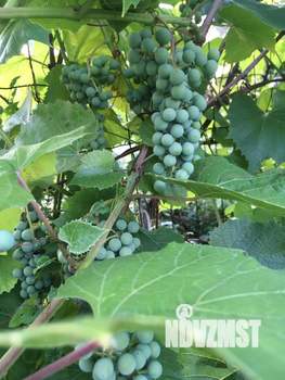 Дом 130м², 2-этажный, участок 10 сот.