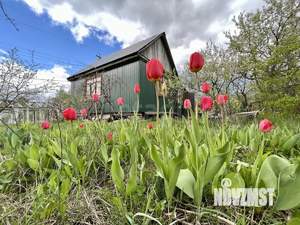 Дом 40м², 1-этажный, участок 9 сот.