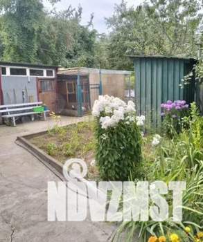 Дом 105м², 2-этажный, участок 12 сот.