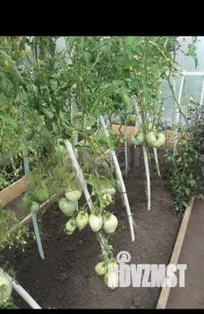 Дом 50м², 2-этажный, участок 5 сот.