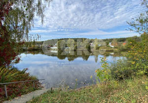 Дом 50м², 1-этажный, участок 8 сот.