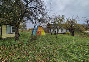 Дом 47м², 1-этажный, участок 29 сот.