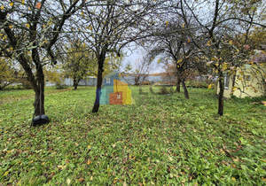 Дом 47м², 1-этажный, участок 29 сот.