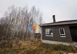 Дом 124м², 1-этажный, участок 7 сот.