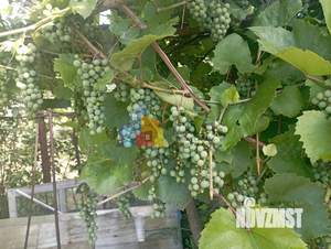 Дом 32м², 2-этажный, участок 6 сот.