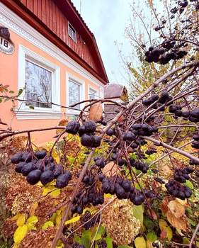 Дом 49м², 1-этажный, участок 5 сот.