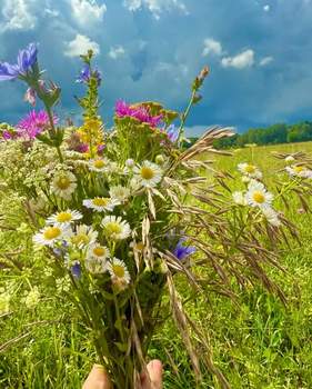 Дом 38м², 2-этажный, участок 10 сот.