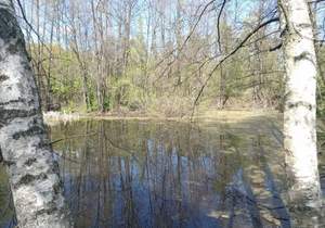 Дача 10м², 2-этажный, участок 10 сот.