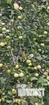 Дом 73м², 1-этажный, участок 25 сот.