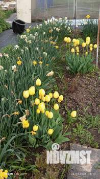 Дом 25м², 1-этажный, участок 6 сот.