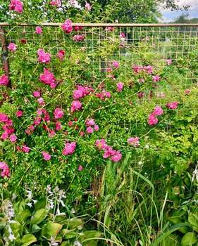 Дача 102м², 1-этажный, участок 10 сот.