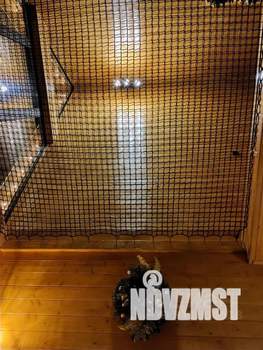 Дом 36м², 1-этажный, посуточно, 