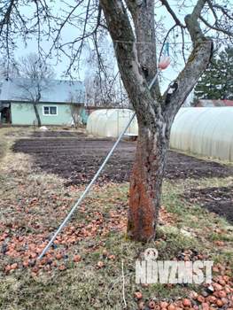 Дом 70м², 1-этажный, участок 12 сот.  