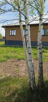 Дом 127м², 1-этажный, участок 13 сот.  