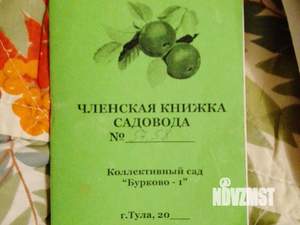 Дача 45м², 2-этажный, участок 12 сот.  