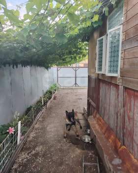 Дом 43м&sup2;, 1-этажный, участок 6 сот.  