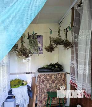 Дача 30м², 1-этажный, участок 6 сот.  