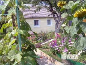 Дом 34м², 1-этажный, участок 6 сот.  