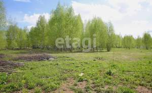 Дом 153м², 1-этажный, участок 13 сот.  