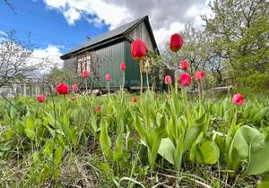 Дом 40м², 2-этажный, участок 9 сот.  