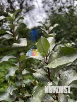 Дом 25м&sup2;, 1-этажный, участок 5 сот.  