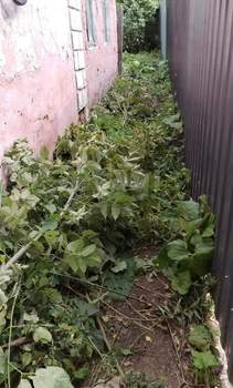 Дача 96м², 1-этажный, участок 10 сот.  