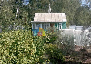 Дом 20м², 1-этажный, участок 6 сот.  