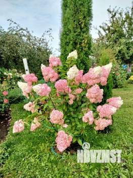 Дом 25м&sup2;, 2-этажный, участок 13 сот.  