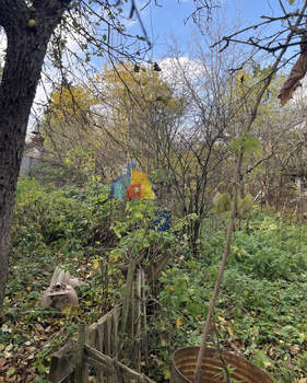 Дом 34м², 1-этажный, участок 2 сот.  