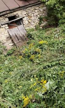 Дача 96м², 1-этажный, участок 10 сот.  