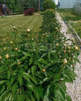 Дом 108м², 2-этажный, участок 7 сот.  