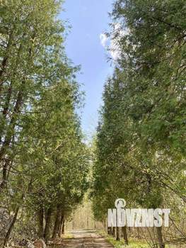 Дом 165м&sup2;, 1-этажный, участок 15 сот.  