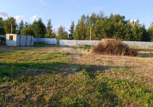 Дом 52м&sup2;, 1-этажный, участок 39 сот.  