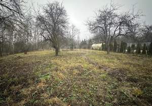 Дом 80м², 1-этажный, участок 17 сот.  