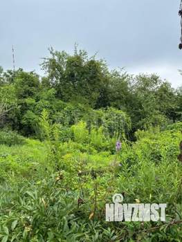 Дом 50м², 1-этажный, участок 7 сот.  