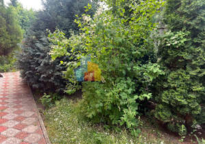 Дом 262м², 2-этажный, участок 12 сот.  
