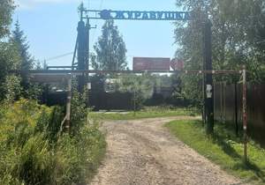 Дача 36м², 2-этажный, участок 6 сот.  