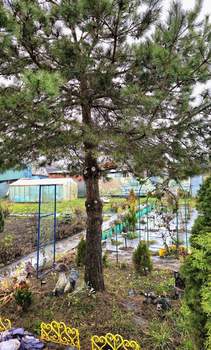 Дом 50м², 2-этажный, участок 603 сот.  